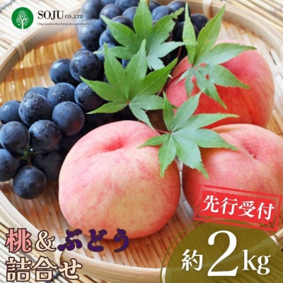 先行受付 季節の桃&ぶどう詰合せ 約2kg 令和8年産 新潟県 【016P042】