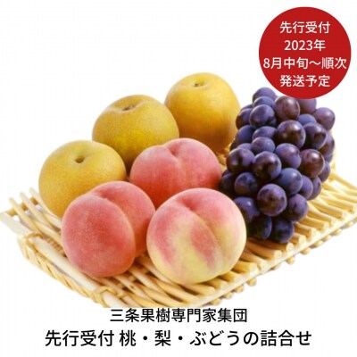 先行受付 桃・梨・ぶどうの詰合せ  [2023年発送予定] 三条果樹専門家集団【035P010】 | ふるさと納税のお礼品