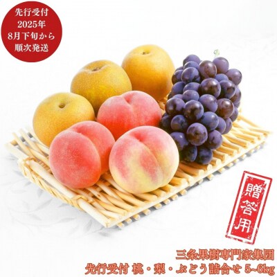 先行受付 桃・梨・ぶどうの詰合せ 合計5～6kg [8月下旬から発送予定] 【035P010】