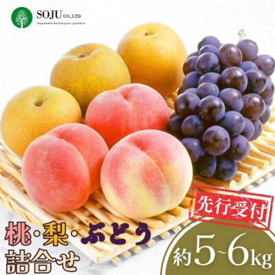 先行受付 桃・梨・ぶどうの詰合せ 合計5～6kg 令和8年産 【035P010】