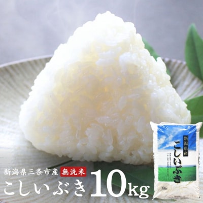 無洗米 こしいぶき 10kg 令和7年産 新潟県三条市産米 [外山敏雄商店]【010S254】