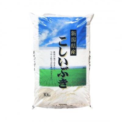無洗米 こしいぶき 10kg 令和7年産 新潟県三条市産米 [外山敏雄商店]【010S254】