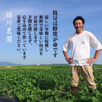  [3粒以上を厳選] 朝採り枝豆 1kg 枝豆(陽恵) [堀川農園] 【017S023】