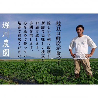  [定期便1kg×3回] 新潟県産 枝豆(陽恵) 1kg 朝採り枝豆 堀川農園【030S034】