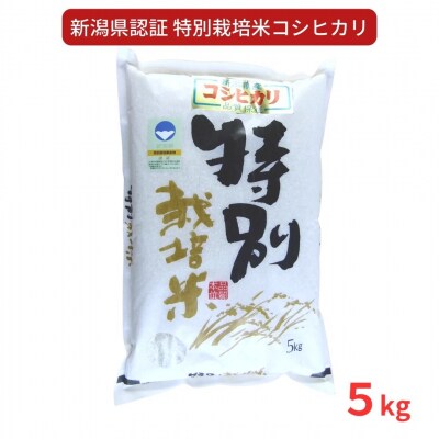 特別栽培米 コシヒカリ5kg 令和7年産 新潟県認証 新潟県三条市産 こしひかり 【010S275】