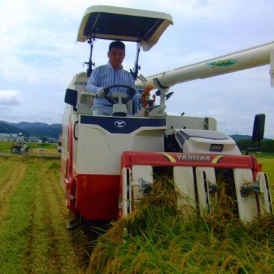 特別栽培米 コシヒカリ5kg 令和7年産 新潟県認証 新潟県三条市産 こしひかり 【010S275】