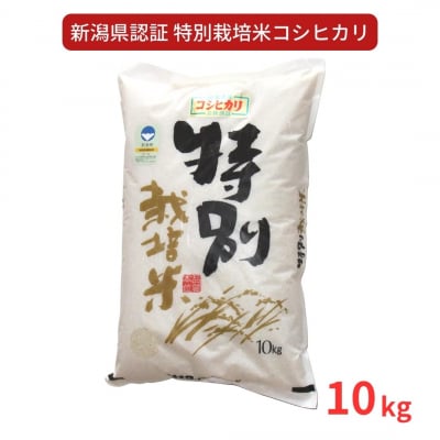 特別栽培米 コシヒカリ10kg 令和7年産 新潟県認証 新潟県三条市産 こしひかり【018S025】