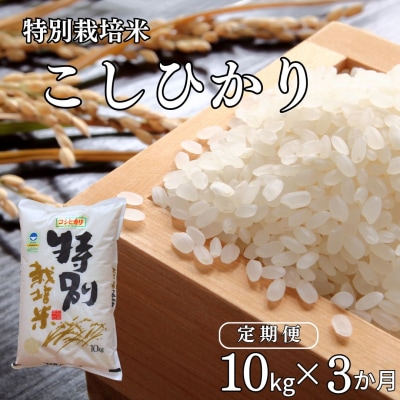[定期便10kg×3ヶ月] 特別栽培米 コシヒカリ10kg 新潟県認証 令和7年産【053S002】