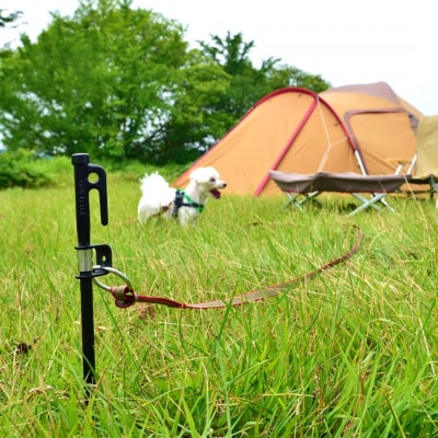 スノーピーク ドッグアンカー (Snow Peak) キャンプ用品 アウトドア用品【021S026】