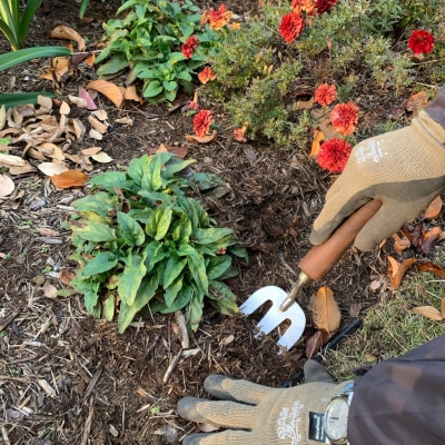 ハンドフォーク 燕三条製 園芸用品 本格ガーデニングツール  [浅野木工所] 【010S296】