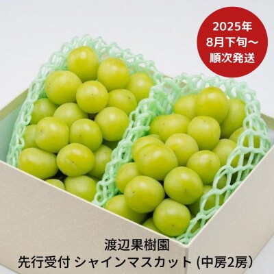 先行受付 中房シャインマスカット2房(約1kg)[8月下旬から発送予定]渡辺果樹園【018S031】