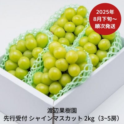 先行受付 シャインマスカット2kg(3~5房) [8月下旬から発送予定]渡辺果樹園【034S008】