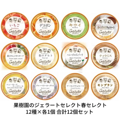 [春期限定]果樹園のジェラートセレクト春セレクト 合計12個セット [田沢農園] 【019S043】