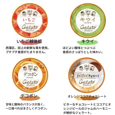 [春期限定]果樹園のジェラートセレクト春セレクト 合計12個セット [田沢農園] 【019S043】
