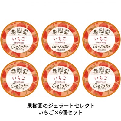 [季節限定]果樹園のジェラートセレクト [いちご6個セット] [田沢農園] 【010S300】