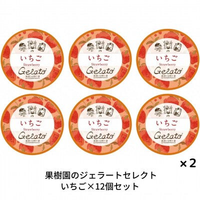 [季節限定]果樹園のジェラートセレクト [いちご12個セット] [田沢農園] 【019S044】