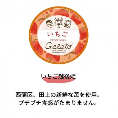 [季節限定]果樹園のジェラートセレクト [いちご12個セット] [田沢農園] 【019S044】