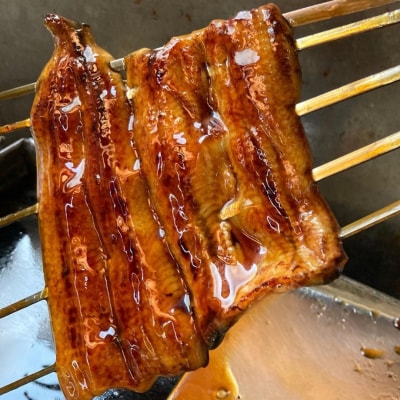 鰻の蒲焼(冷凍) 2尾 料亭の鰻 料理人が串焼きで仕上げた 鰻 【027S017】