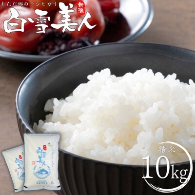令和7年産米 特別栽培米 下田産コシヒカリ 白雪美人 精米 10kg【021S029】