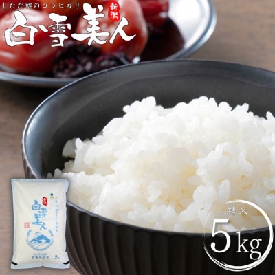 令和7年産米 特別栽培米 下田産コシヒカリ 白雪美人 精米 5kg【011S096】