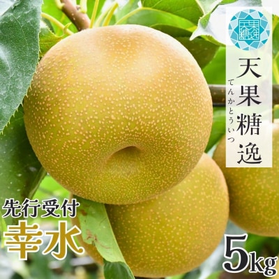 先行受付 和梨 幸水 特秀品 約5kg 糖度13度以上を厳選 令和8年度 【013S061】