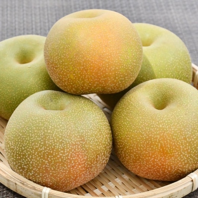 先行受付 和梨 幸水 特秀品 約5kg 糖度13度以上を厳選 令和8年度 【013S061】