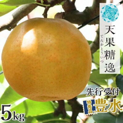 先行受付 和梨 豊水 特秀品 約5kg 糖度13度以上を厳選 令和8年度 【013S062】