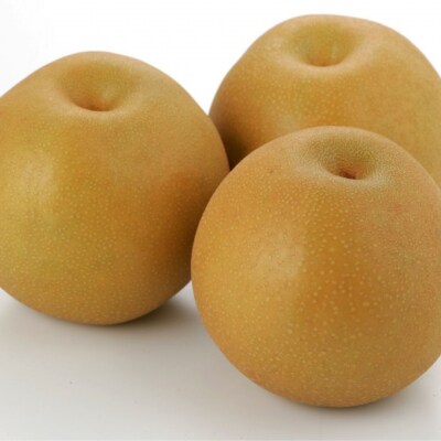 先行受付 和梨 豊水 特秀品 約5kg 糖度13度以上を厳選 令和8年度 【013S062】