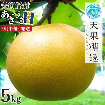 先行受付 和梨 あきづき 特秀品 5kg 9月中旬から発送予定 糖度13度以上厳選【013S063】