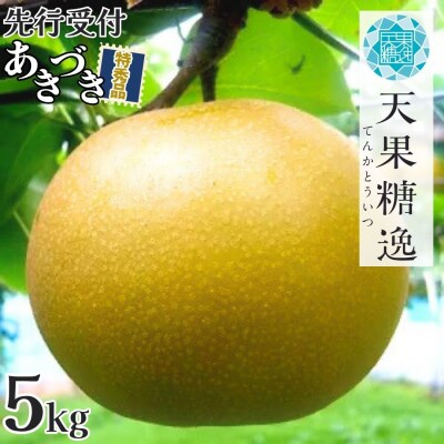 先行受付 和梨 あきづき 特秀品 約5kg 糖度13度以上を厳選 令和8年度 【013S063】