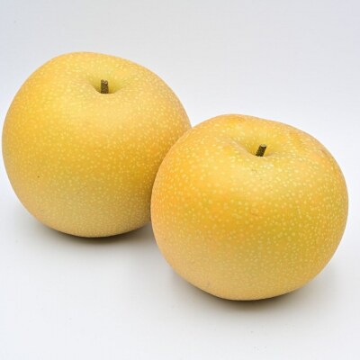 先行受付 和梨 あきづき 特秀品 約5kg 糖度13度以上を厳選 令和8年度 【013S063】