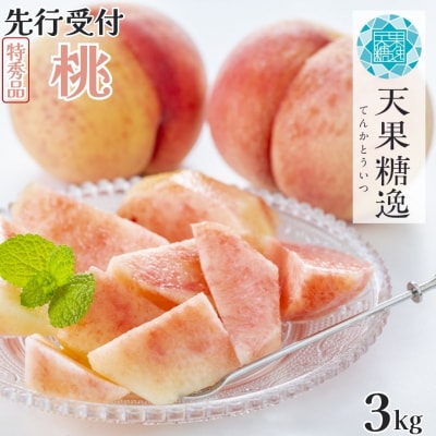 先行受付 桃 特秀品 約3kg 糖度13度以上を厳選 令和8年度 【014S057】