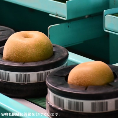 先行受付 桃 特秀品 約3kg 糖度13度以上を厳選 令和8年度 【014S057】