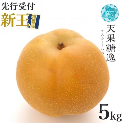 先行受付 和梨 新王 特秀品 約5kg 糖度13度以上を厳選 令和8年度 【014S055】