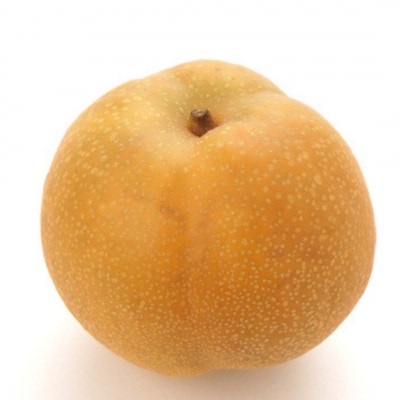 先行受付 和梨 新王 特秀品 約5kg 糖度13度以上を厳選 令和8年度 【014S055】