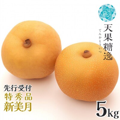 先行受付 和梨 新美月 特秀品 約5kg 糖度13度以上を厳選 令和8年度 【014S056】