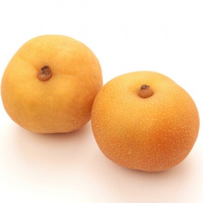 先行受付 和梨 新美月 特秀品 約5kg 糖度13度以上を厳選 令和8年度 【014S056】