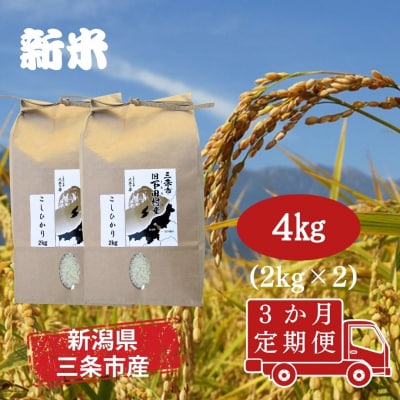 先行受付 [定期便4kg×3か月] 新潟県産 こしひかり 4kg(2kg×2袋) 【030S035】