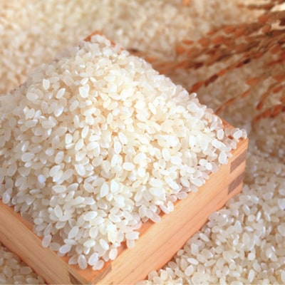 先行受付 [定期便4kg×3か月] 新潟県産 こしひかり 4kg(2kg×2袋) 【030S035】