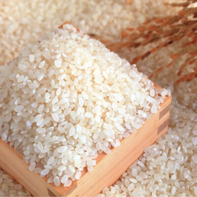 先行受付 [定期便4kg×3か月] 新潟県産 こしひかり 4kg(2kg×2袋) 【030S035】