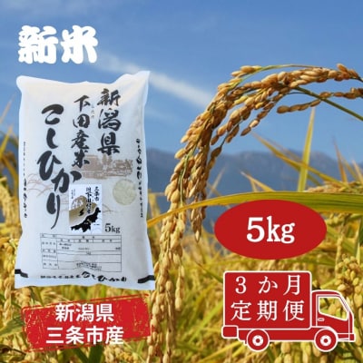 先行受付 [定期便5kg×3か月] 新潟県産 こしひかり 精米 白米 【030S036】