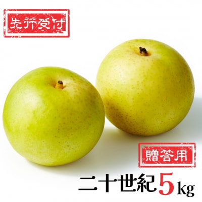 先行受付 和梨 二十世紀 5kg [9月中旬～発送予定]梨 [岩福農園] 【010P056】