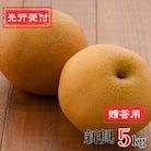 先行受付和梨 新興梨 5kg [11月上旬～順次発送] 新潟県産 梨 [岩福農園]【010P064】