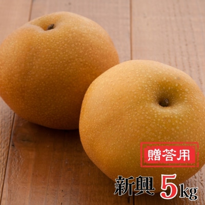 和梨 新興梨 5kg 新潟県産 梨 [岩福農園]【010P064】