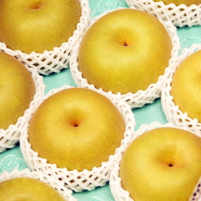 和梨 新興梨 5kg 新潟県産 梨 [岩福農園]【010P064】