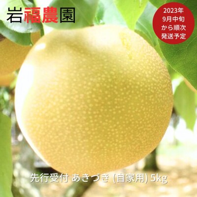 新潟県産 和梨 あきづき 自家用 5kg  [岩福農園]  訳アリ 梨【010P062】