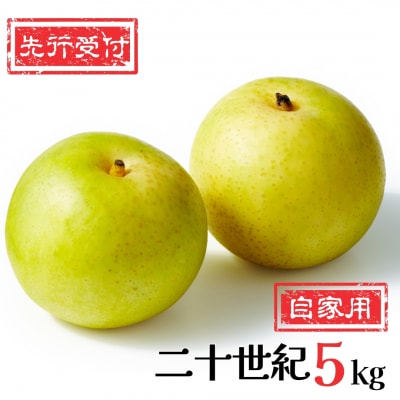 先行受付 新潟県産 和梨 二十世紀 自家用 5kg  [岩福農園]  訳アリ 梨【010P057】