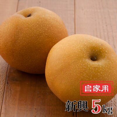 先行受付 和梨 新興梨 自家用 5kg 新潟県産   [岩福農園]  訳アリ 梨【010P065】