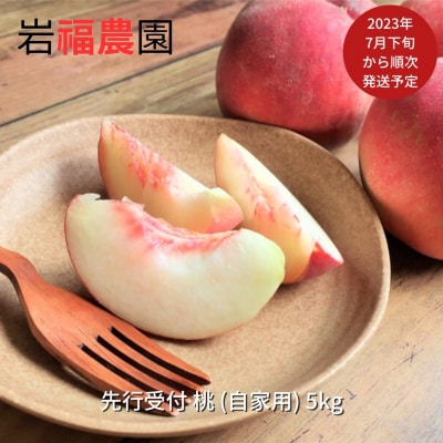 先行受付 新潟県産 桃 自家用 5kg [岩福農園] 【010P043】