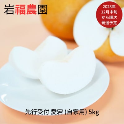 先行受付 和梨 愛宕 自家用 5kg 訳アリ 新潟県産  梨 [岩福農園] 【010P069】